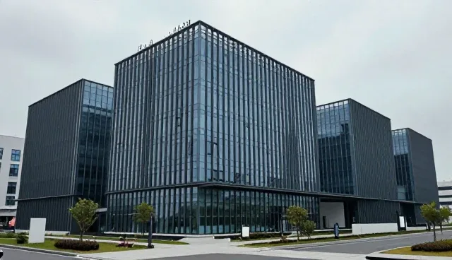 文本润色:缩写使用与选择依据的分析