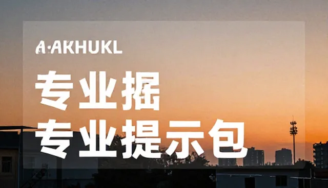 项目管理提示词与成套提示词的使用比较及取舍